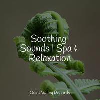 Soothing Sounds | Spa & Relaxation