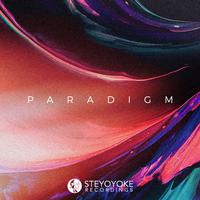 Steyoyoke Paradigm, Vol. 09