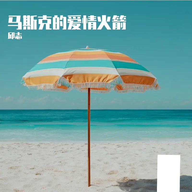 马斯克的爱情火箭封面