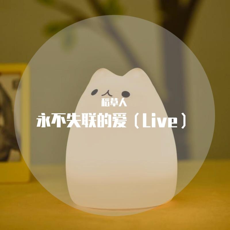 热带雨林封面
