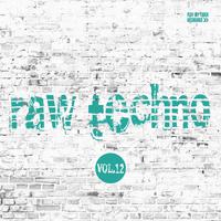 Raw Techno, Vol. 12