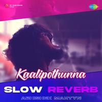 Kaalipothunna - Slow Reverb