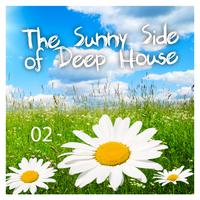 The Sunny Side of Deep House Vol. 2