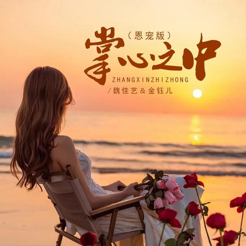 掌心之中(DJ版)封面