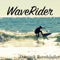 Waverider