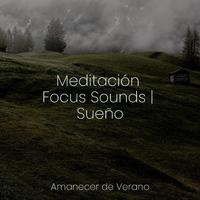 Meditación Focus Sounds | Sueño