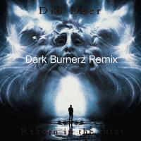 Reborn in the ruin（Dark Burnerz Remix）