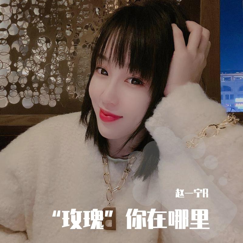 玫瑰（女版）（翻自 亚森）封面