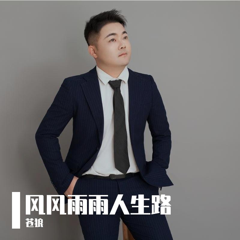 风风雨雨人生路 (DJ版伴奏) - 苍狼封面