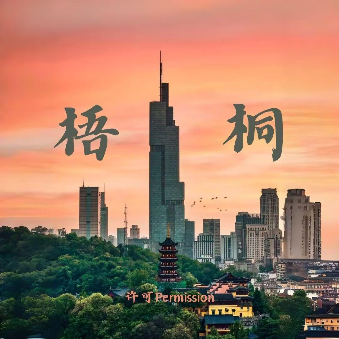 梧桐封面