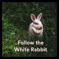 Follow The White Rabbit