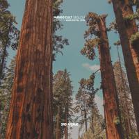 Sequoia