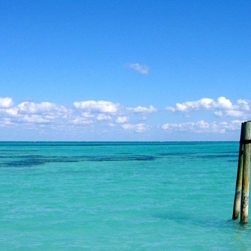 海拔封面