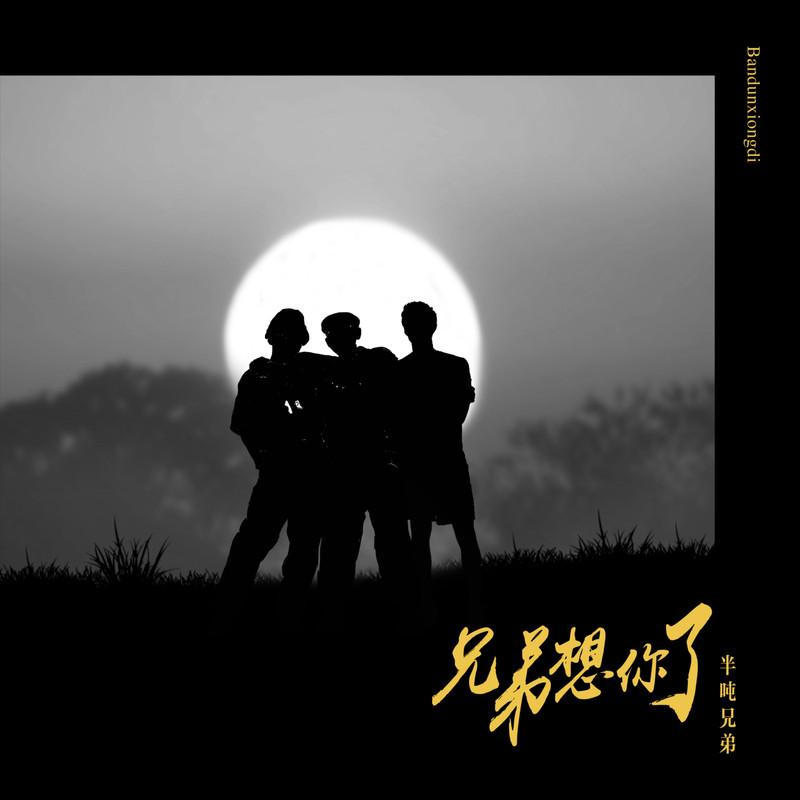 兄弟想你了封面