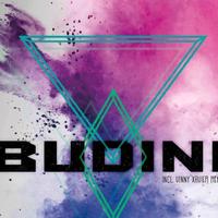 Budini