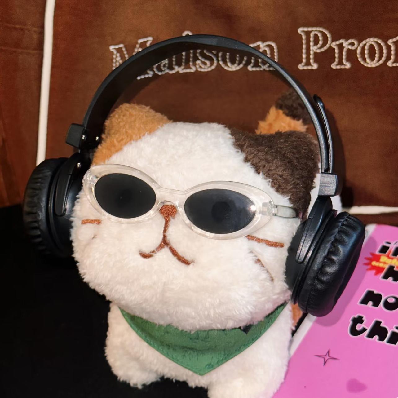 听一遍就上头！2026开年爆火神曲合集