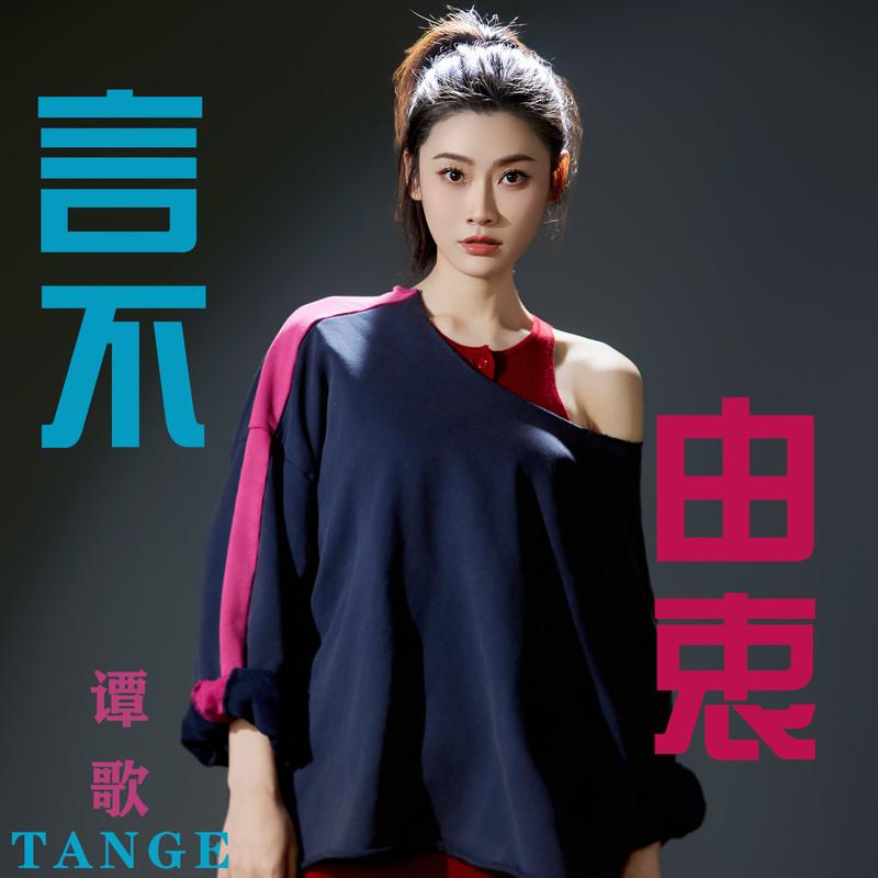 言不由衷 (DJ版)封面
