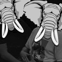 Bass Elephants