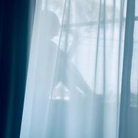 可愛くてごめん (feat. HoneyWorks & かぴ) [Cover]