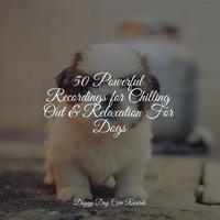 50 Powerful Recordings for Chilling Out & Relaxation For Dogs