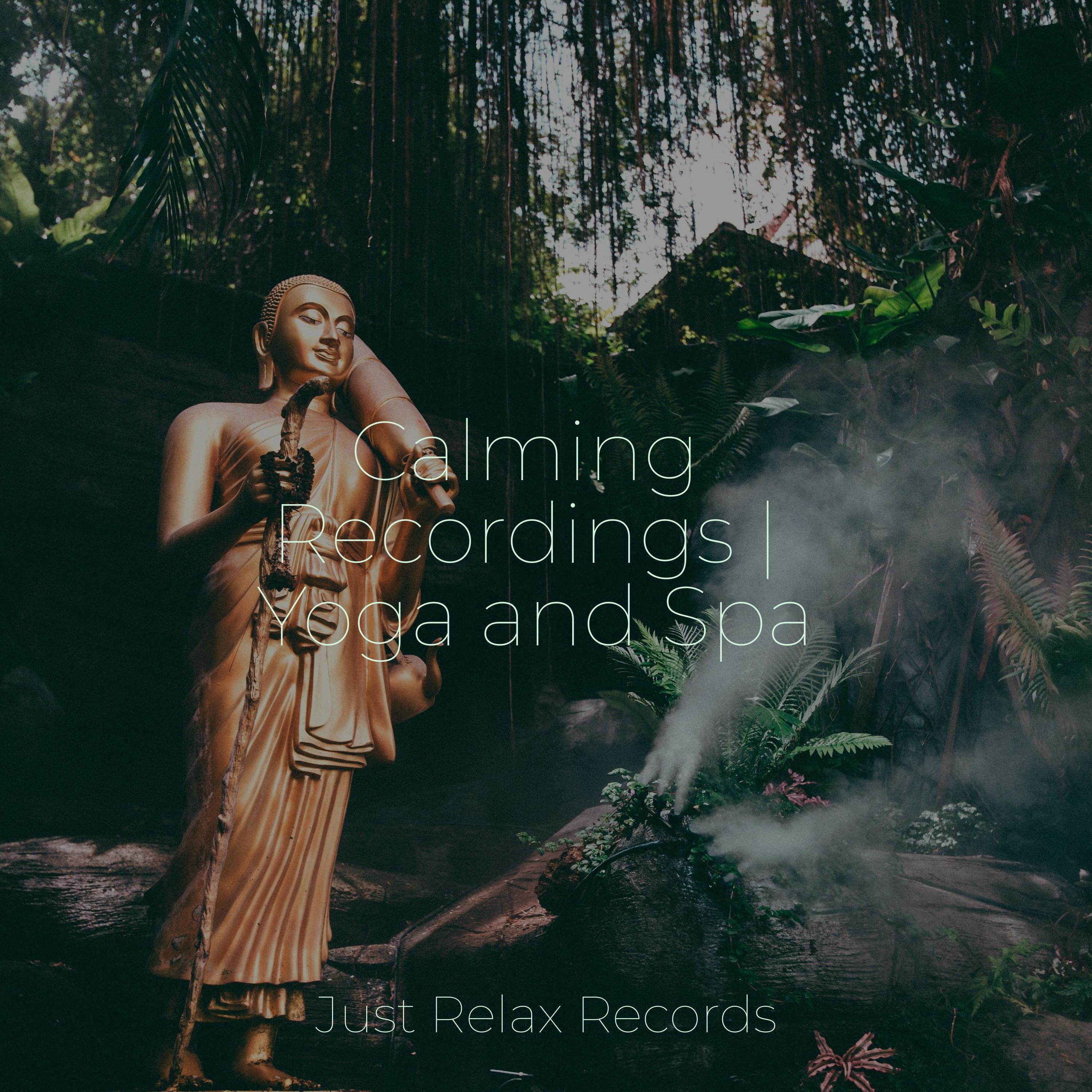 Mindful Melodies of Tranquility Musica Reiki/Nursery Rhymes Club