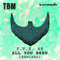 All You Need (Remixes)