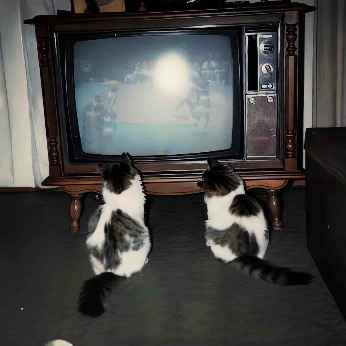 梦臆（暗恋像一颗颗的青梅果）