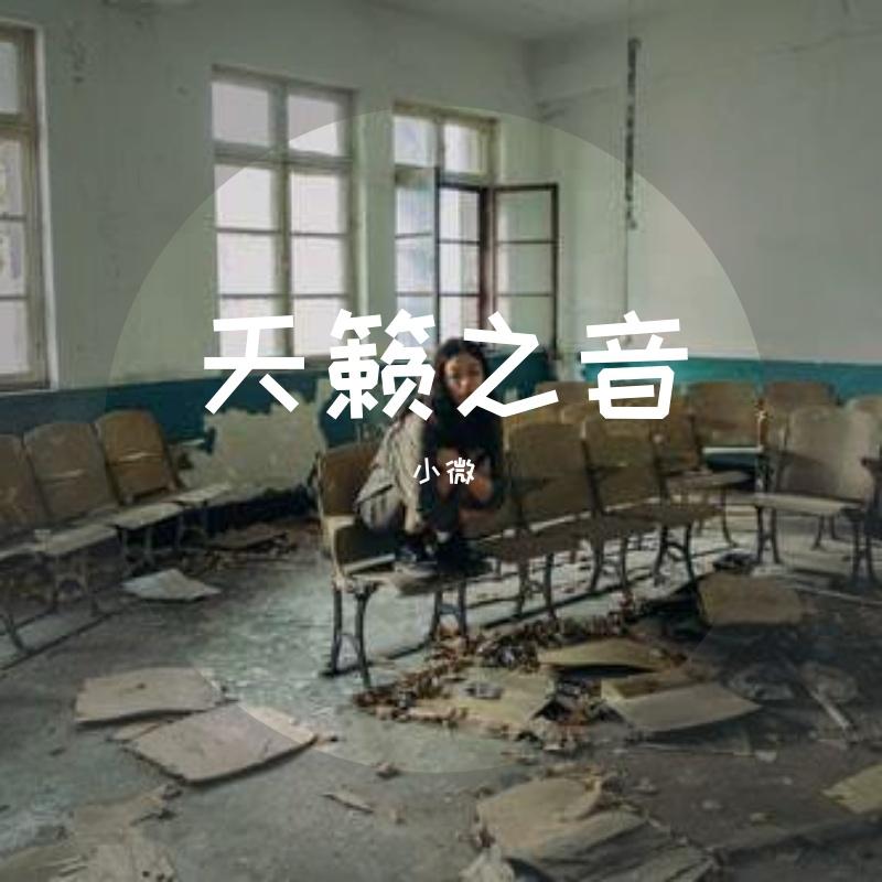 回不去了吗封面