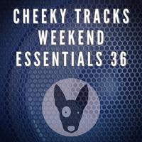 Cheeky Tracks Weekend Essentials 36