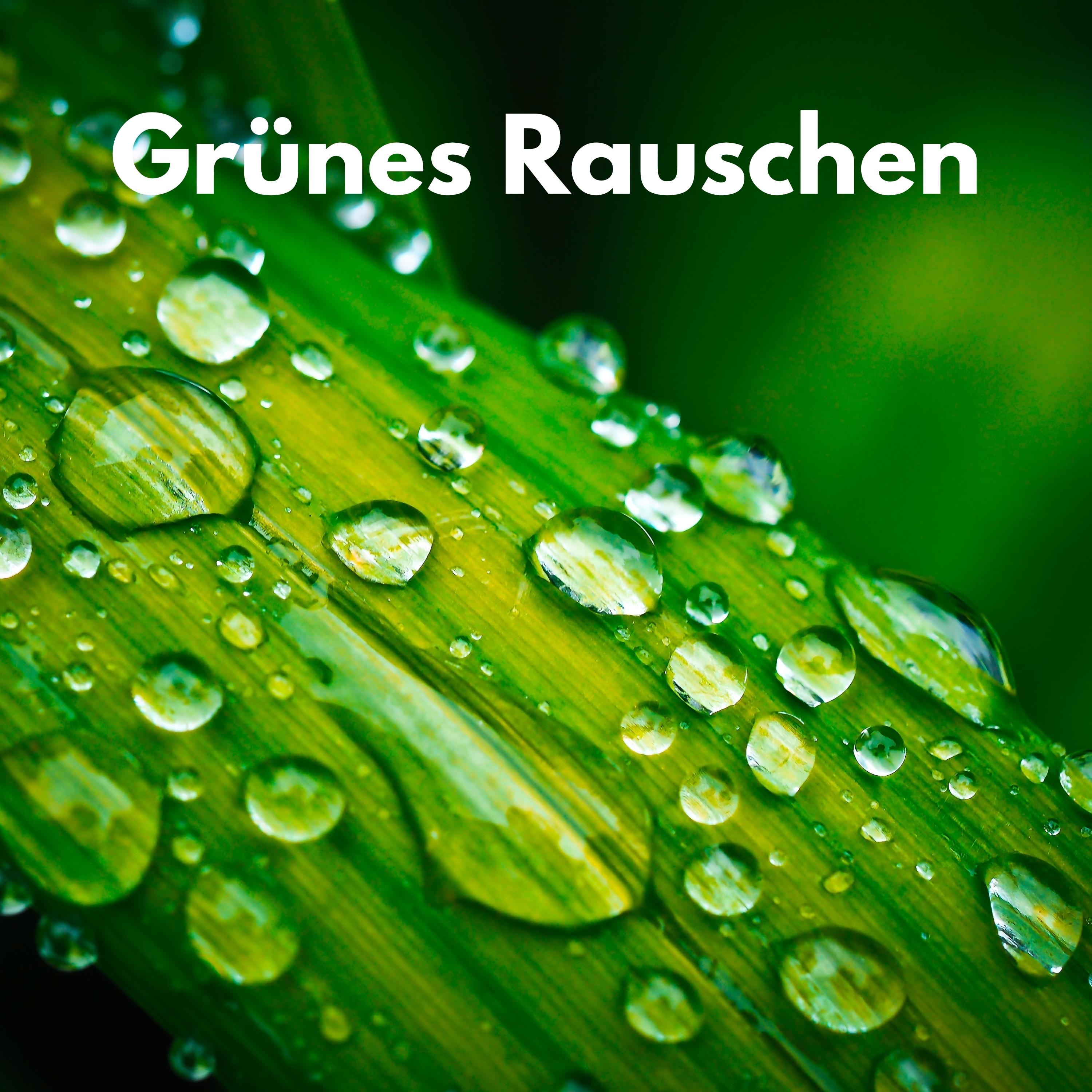 Babyschlaf mit Meeresrauschen_Grünes Rauschen_Grünes Rauschen | 在线播放_Babyschlaf mit Meeresrauschen歌词_Babyschlaf mit Meeresrauschen下载 | 网易云音乐