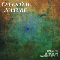 Celestial Nature - Calming Effects of Nature, Vol. 8