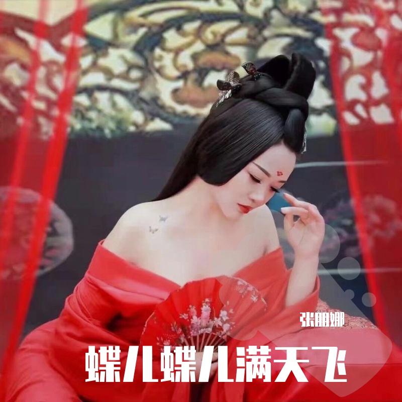 蝶儿蝶儿满天飞封面