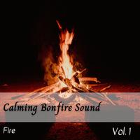 Fire: Calming Bonfire Sound Vol. 1