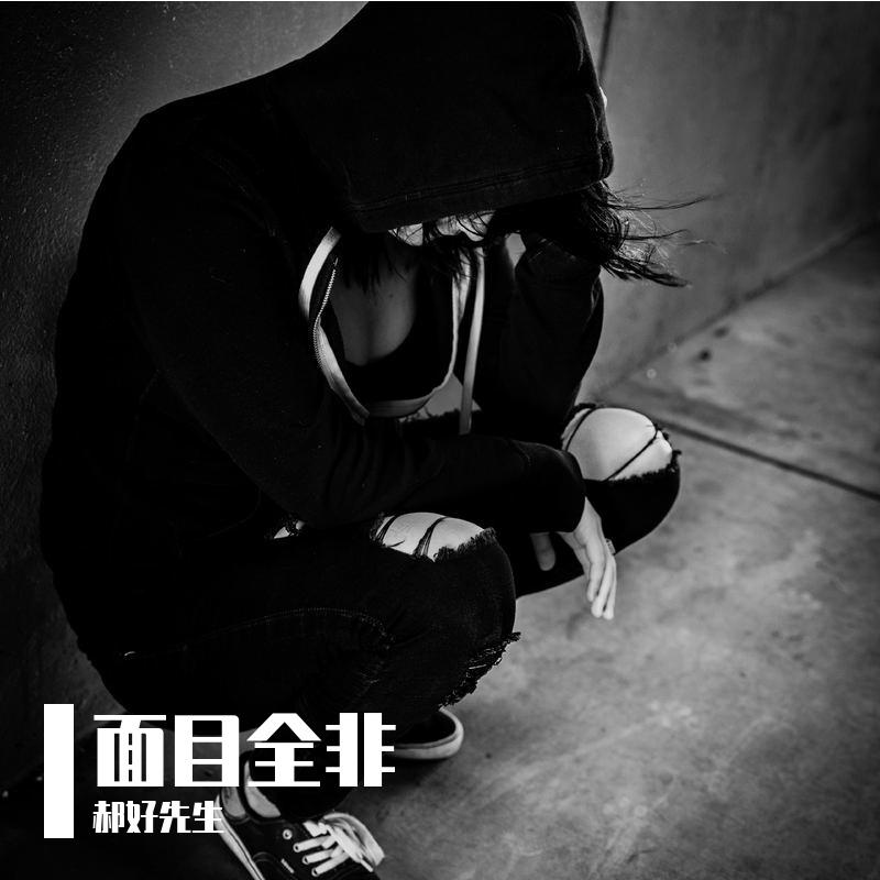 面目全非的自己封面