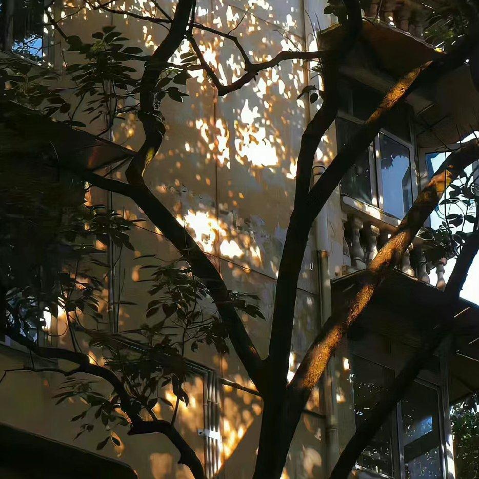 城南花已开(0.9X降速版)封面