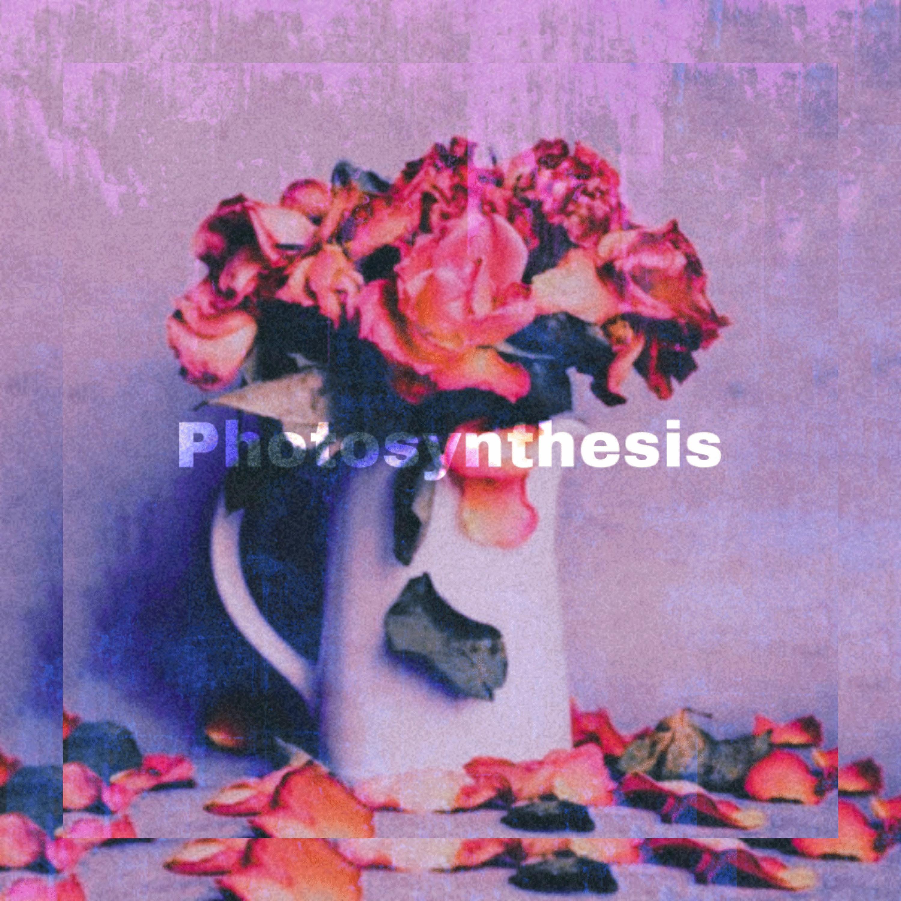 Photosynthesis