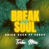 Erick Zack - BREAK MY SOUL (TRIBE MIX)