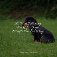 50 Pure Relaxing Tracks for Yoga Meditation For Dogs