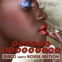 Groove Sensation, Vol. 3 - Disco Meets House Edition