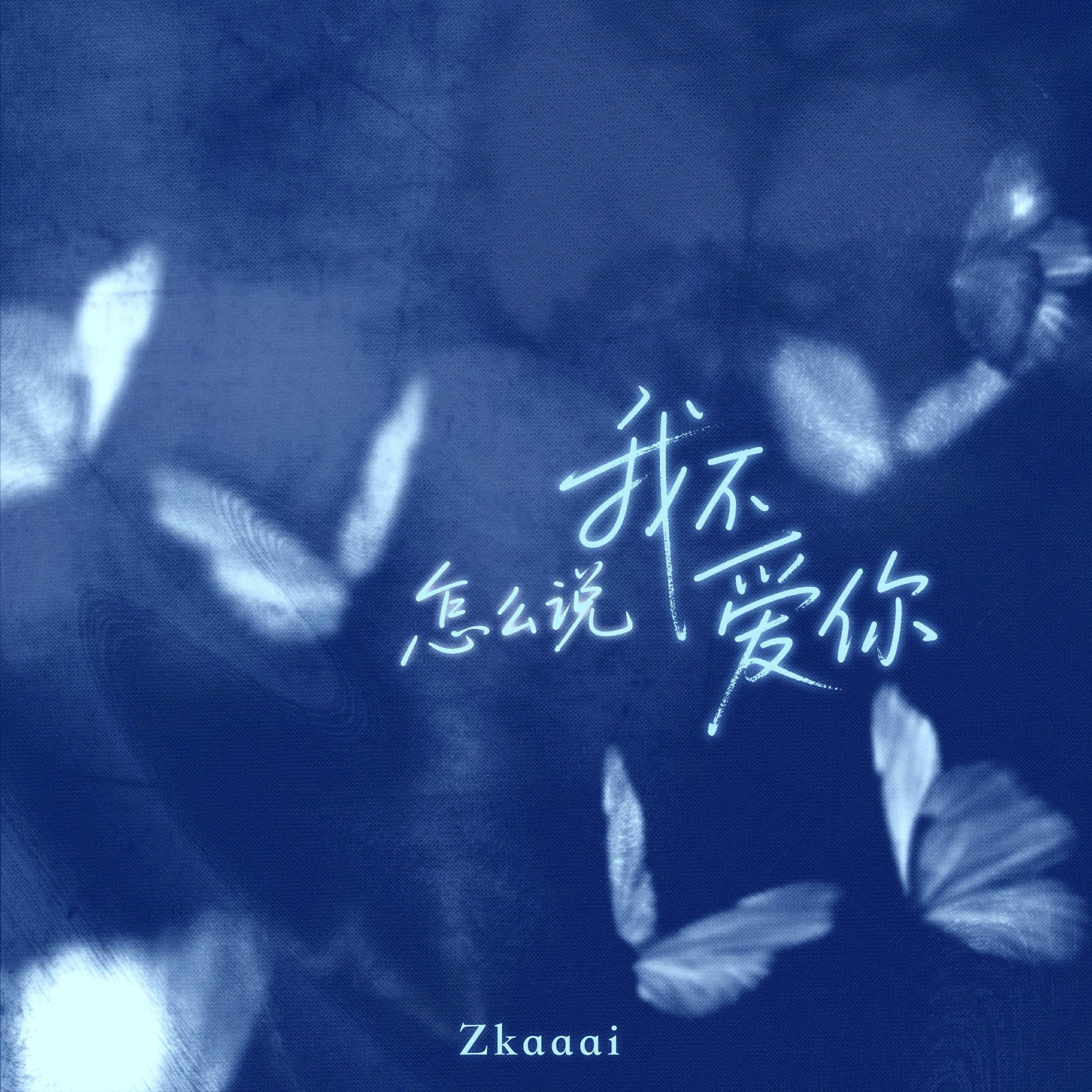 怎么说我不爱你