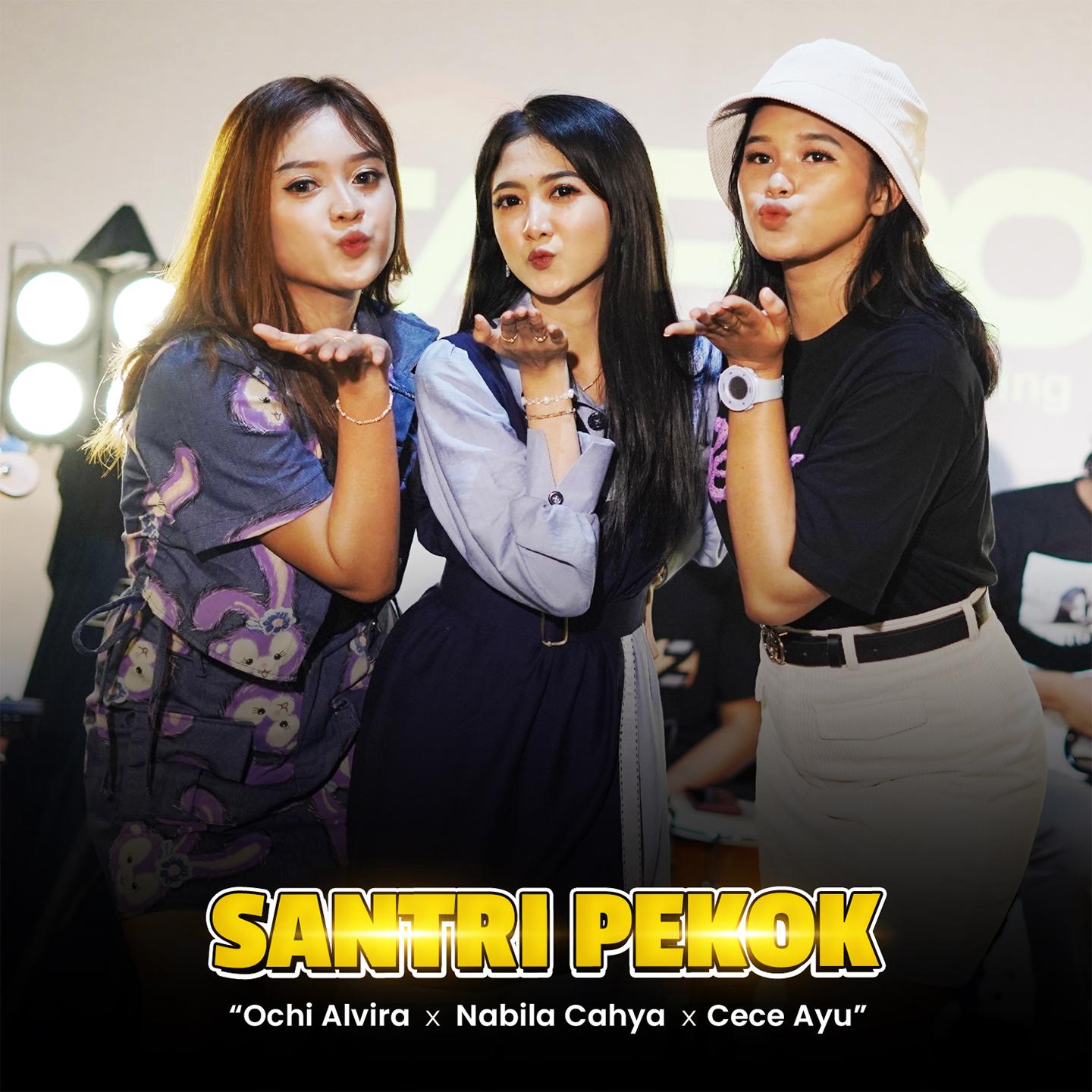 Santri Pekok (Live Version)
