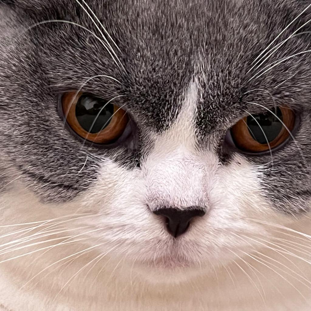 给我一点热血和一个有趣的灵魂