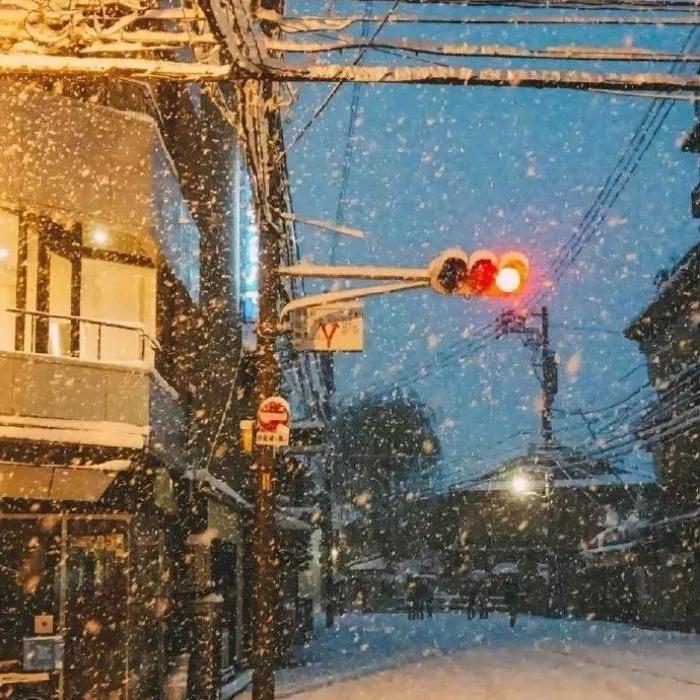 冬眠封面