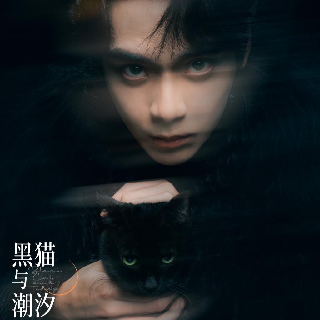 「黑猫与潮汐」徐均朔livehouse歌单