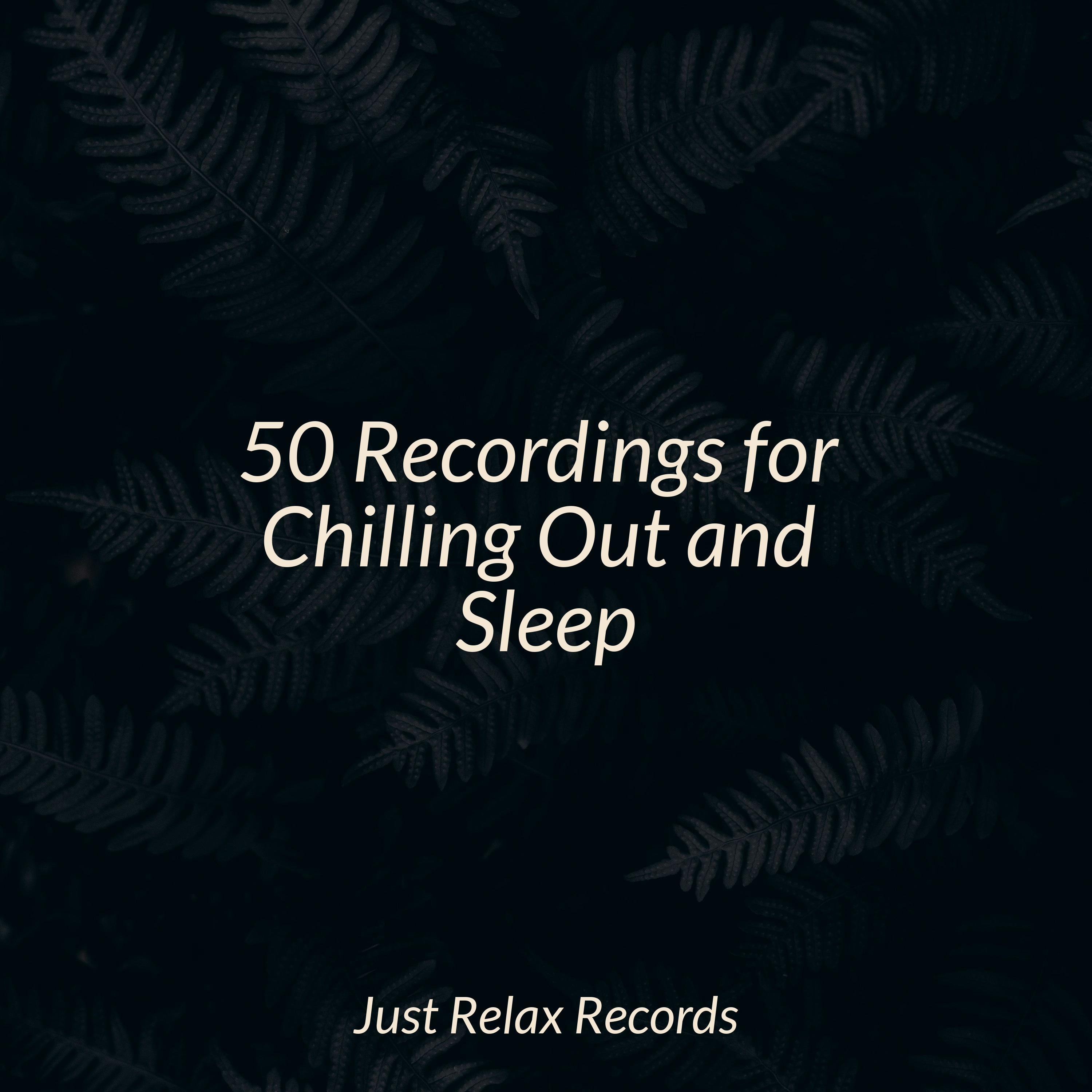 Melodic Nectar Fantasia Massage Therapy Music/Sleepy Night Music