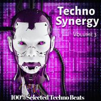 Techno Synergy, Vol. 3 (100% Selected Techno Beats)