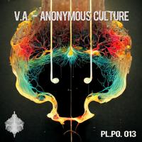 Anonymous Culture