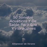 50 Sonidos Acuáticos Y De Salón Para Spa Y Vibraciones