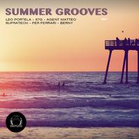 Summer Grooves, Vol. 1