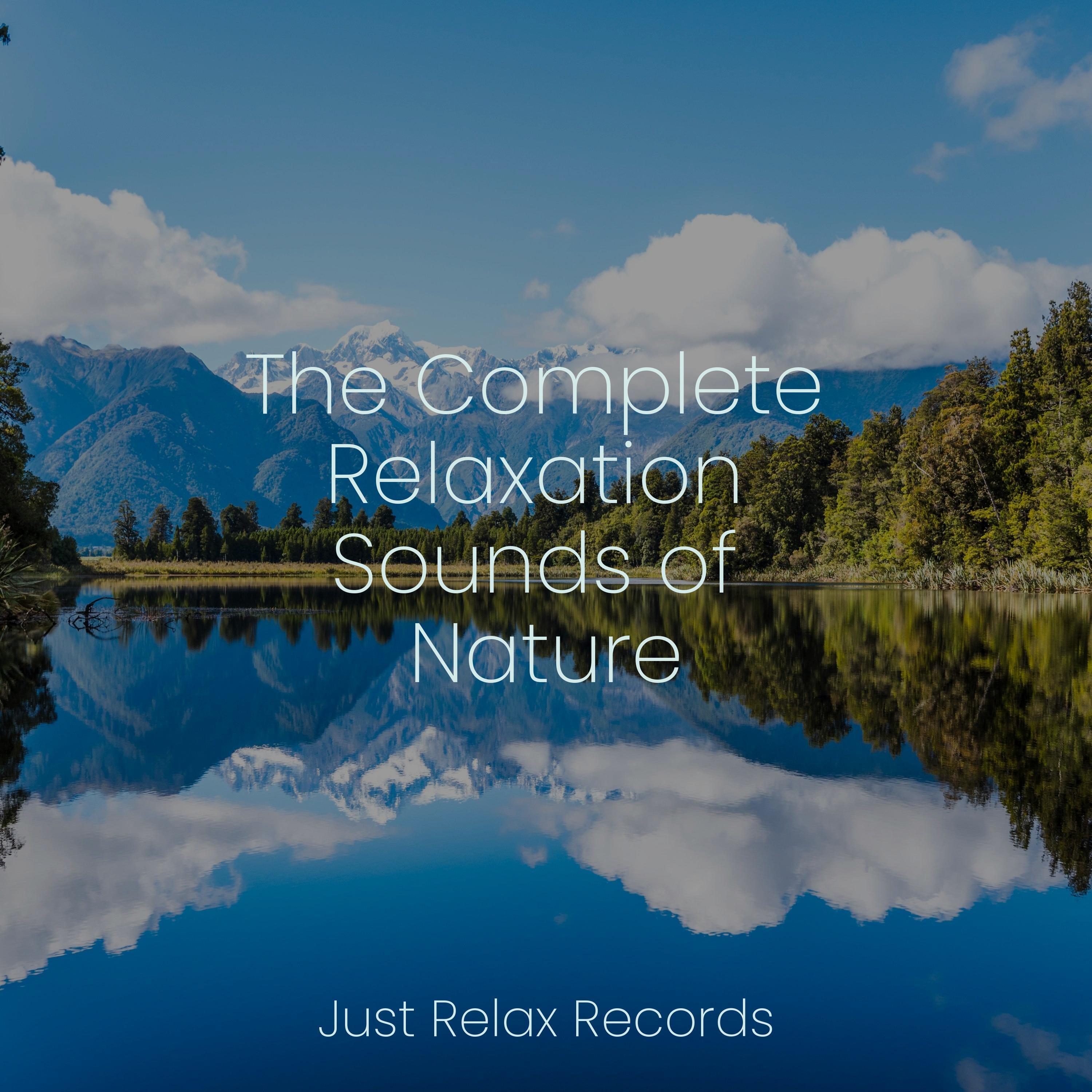 Undying Tide's Embrace